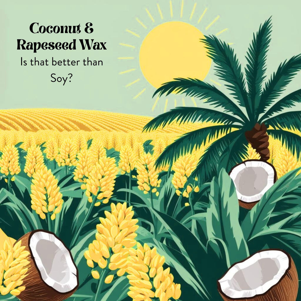 Why We Choose Rapeseed and Coconut Wax for Our Luxury Candles