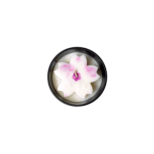 
                  
                    Dark Rose Candle Refill - Tribal Unicorn Candle Bar
                  
                